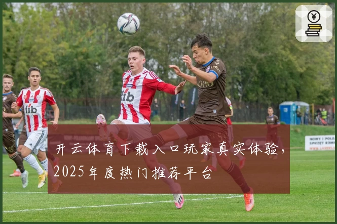 开云体育下载入口玩家真实体验，2025年度热门推荐平台