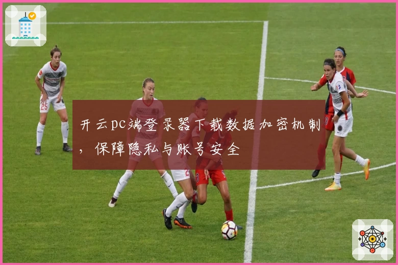 开云pc端登录器下载数据加密机制，保障隐私与账号安全