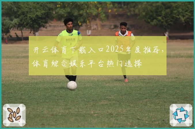 开云体育下载入口2025年度推荐，体育综合娱乐平台热门选择