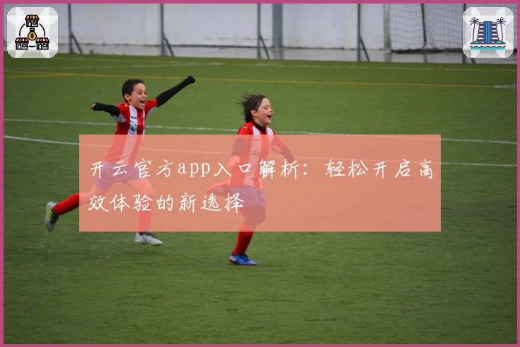 开云官方app入口解析：轻松开启高效体验的新选择