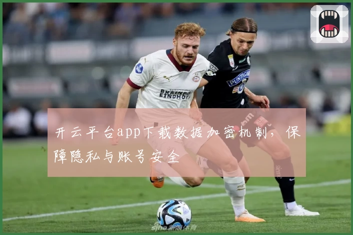 开云平台app下载数据加密机制，保障隐私与账号安全